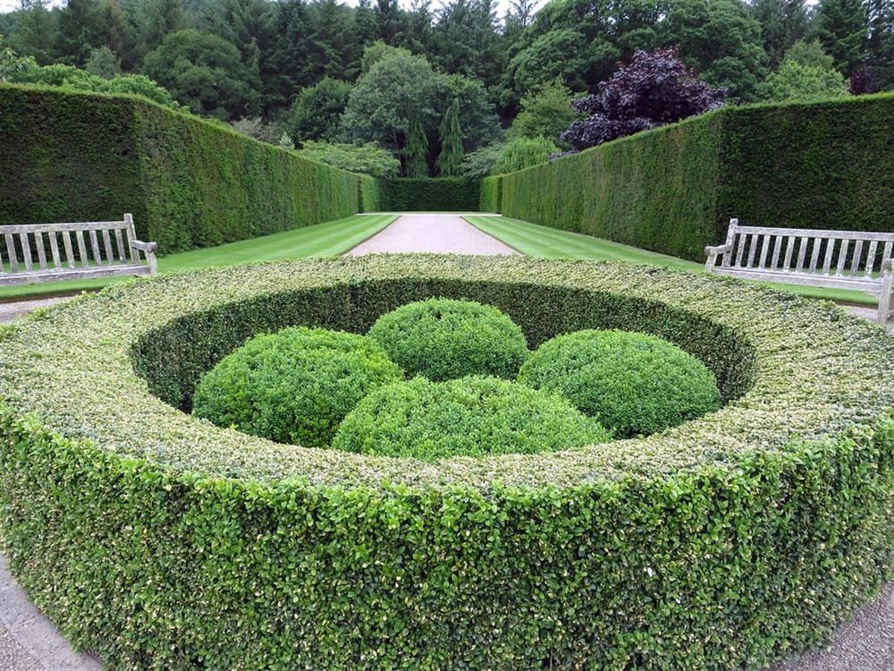 Entretien des parcs et espaces verts par Entreprise Paul Multiservices